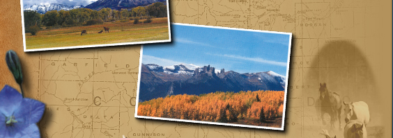 Gunnison Ranches - True Colorado Living